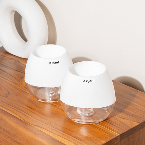 Kyari Nova Pot Combo of 2 White