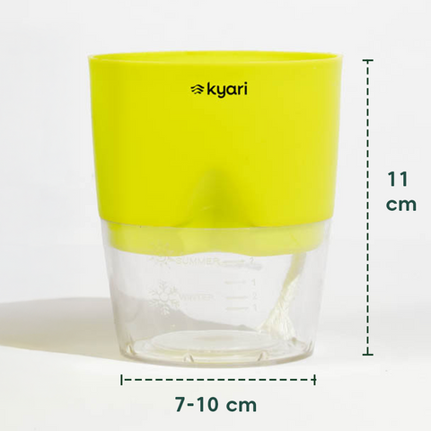 Kyari Poetic Pot Combo of 2 Green