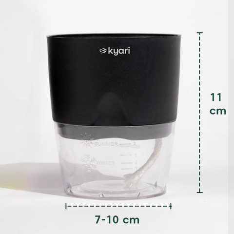 Kyari Poetic Pot Combo of 2 Black