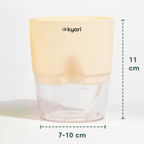 Kyari Poetic Pot Combo of 2 Cream