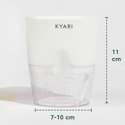 Kyari Poetic Pot Combo of 2 White
