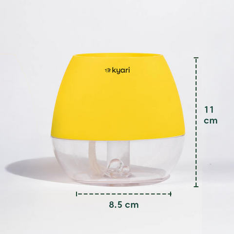Kyari Nova Pot Combo of 2 Yellow
