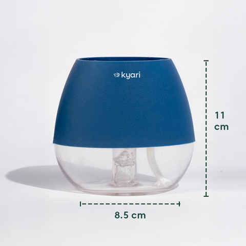 Kyari Nova Pot Combo of 2 Blue