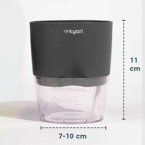 Kyari Poetic Pot Combo of 2 Grey