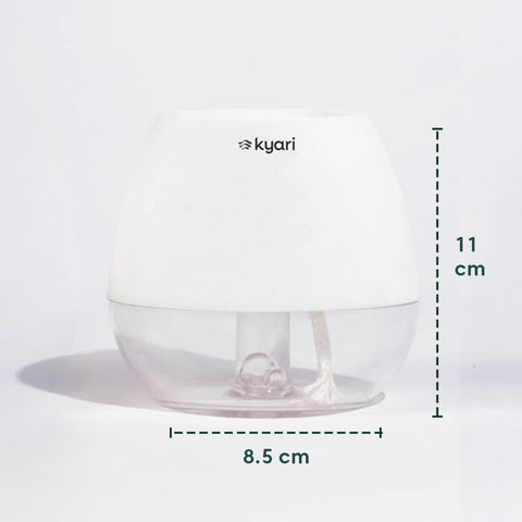 Kyari Nova Pot Combo of 2 White