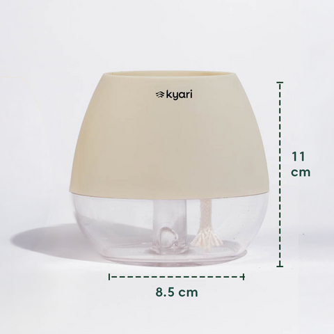 Kyari Nova Pot Combo of 2 Cream