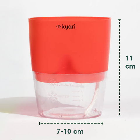 Kyari Poetic Pot Combo of 2 Red