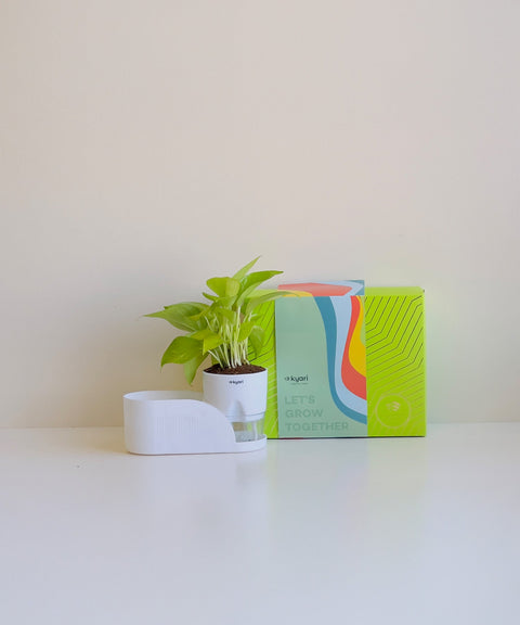 Classic welcome kit Hamper